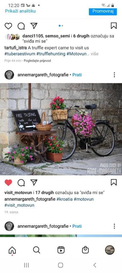 Bed & Breakfast Antico Motovun Εξωτερικό φωτογραφία