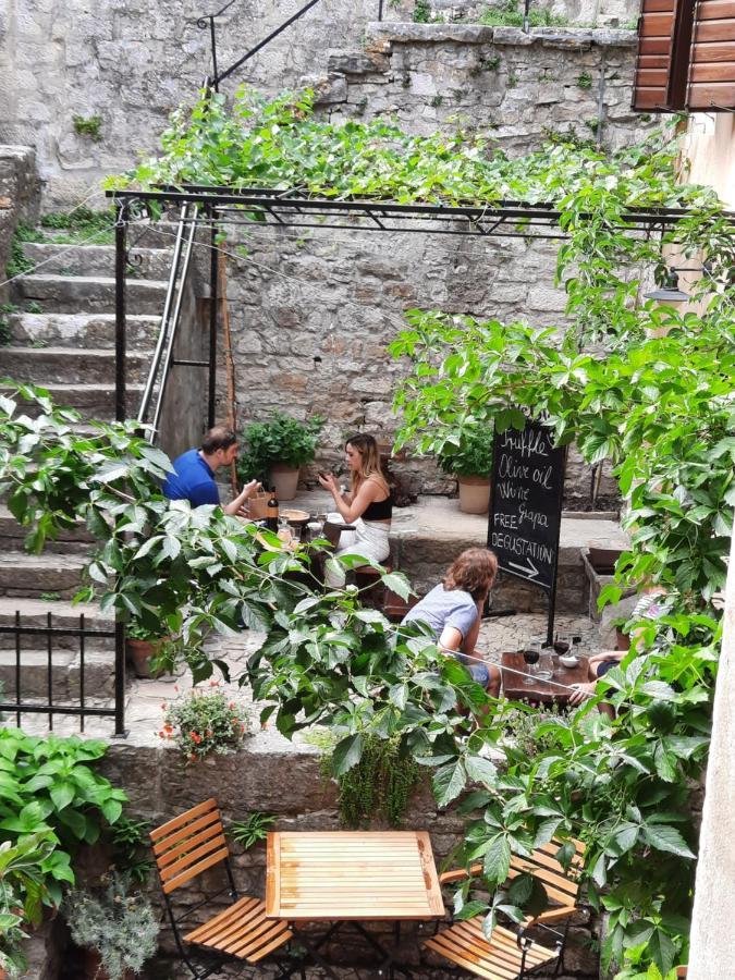 Bed & Breakfast Antico Motovun Εξωτερικό φωτογραφία