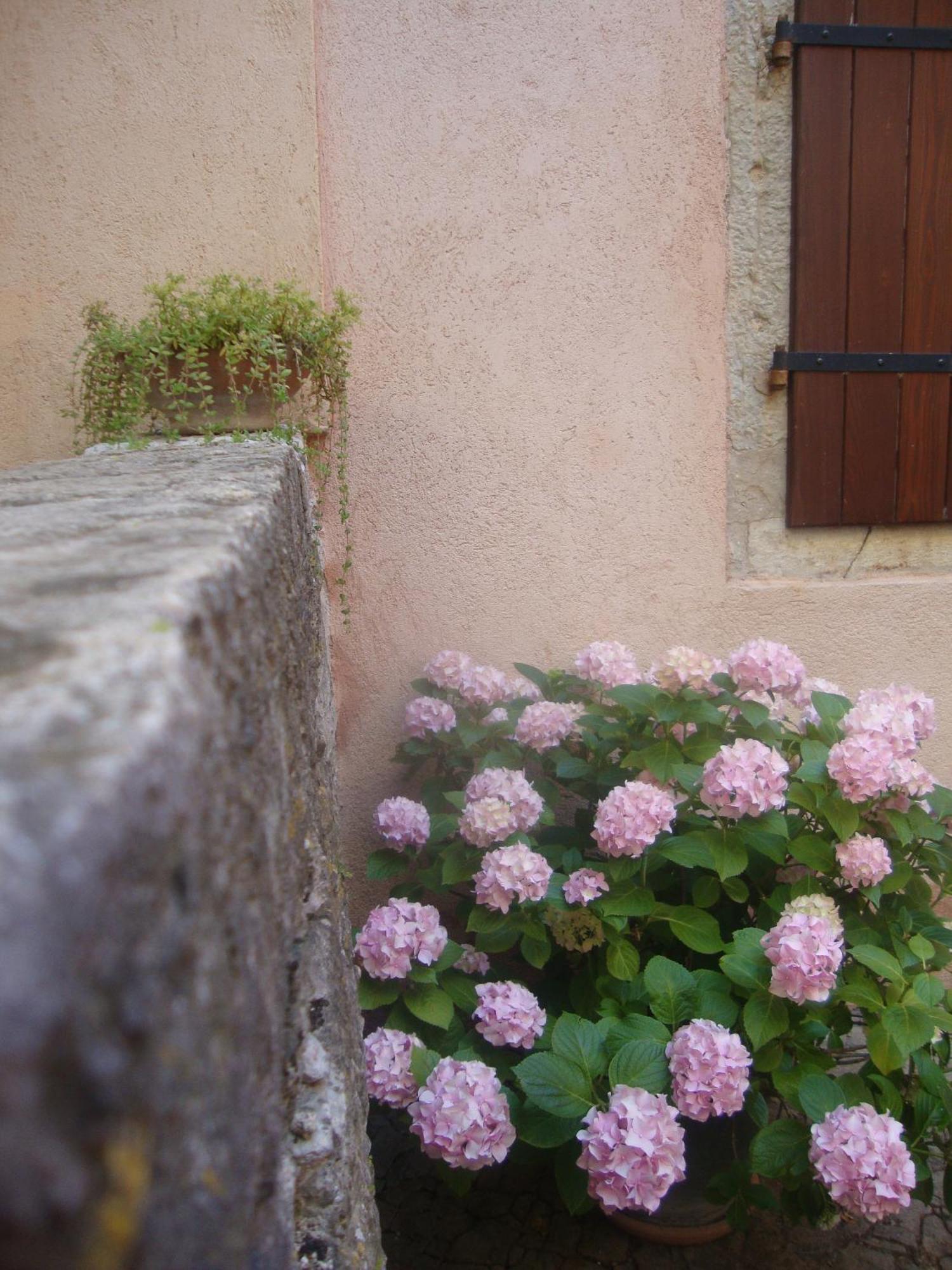 Bed & Breakfast Antico Motovun Εξωτερικό φωτογραφία