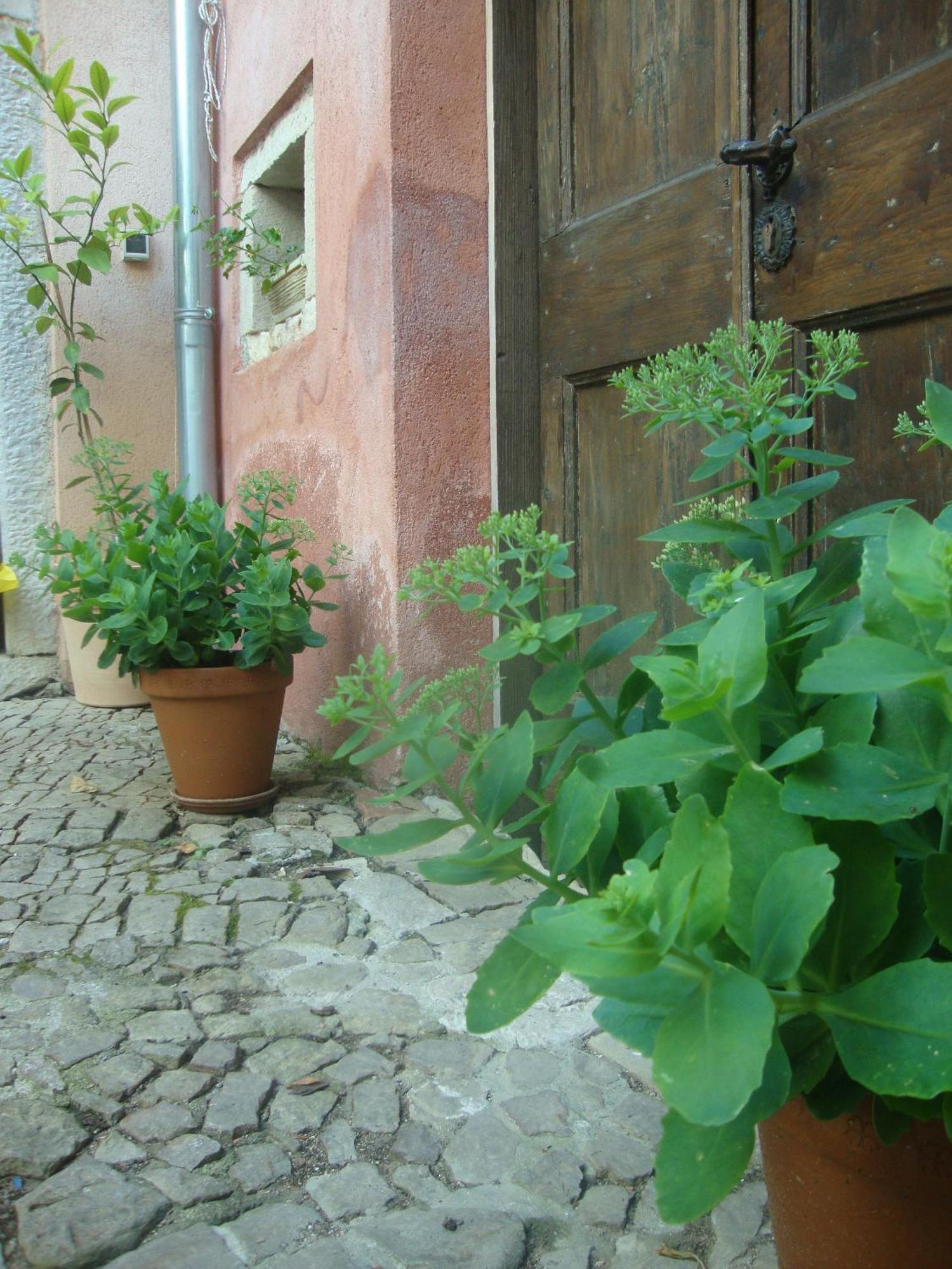 Bed & Breakfast Antico Motovun Εξωτερικό φωτογραφία