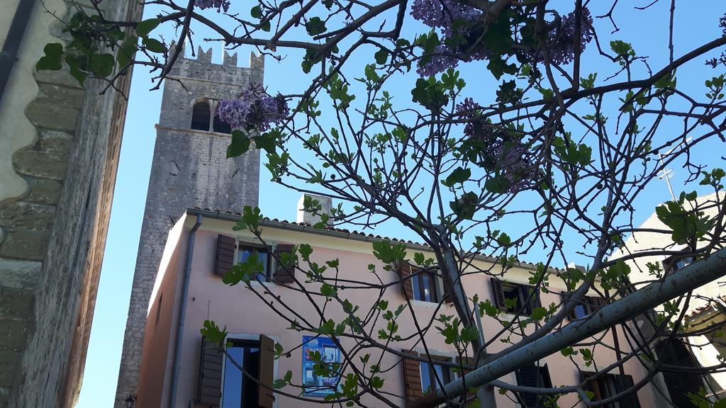 Bed & Breakfast Antico Motovun Εξωτερικό φωτογραφία