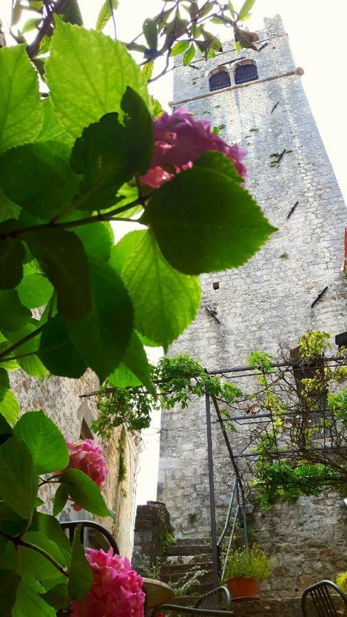 Bed & Breakfast Antico Motovun Εξωτερικό φωτογραφία